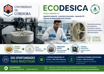 Ecodesica